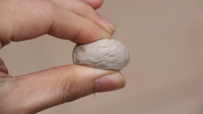 做肉丸用什么可以代替高彈素達(dá)到增彈增脆的效果？