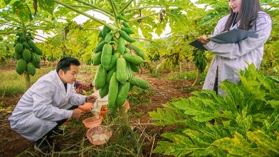酶制劑公司排名：哪個廠家在食品、飼料、工業(yè)領(lǐng)域拔得頭籌