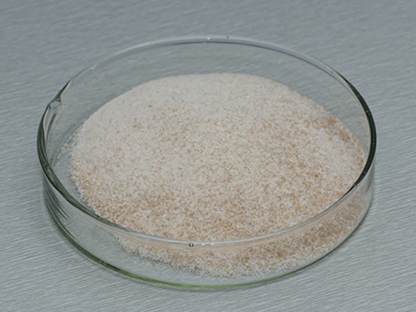風(fēng)味酶（氨肽酶，復(fù)合風(fēng)味蛋白酶）Flavourzyme