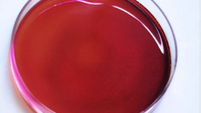 酶解蝦膏在水產飼料行業的應用