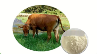 酶解豬牛皮制備膠原蛋白肽，為什么日本產(chǎn)品的價格比國內(nèi)的貴1倍？