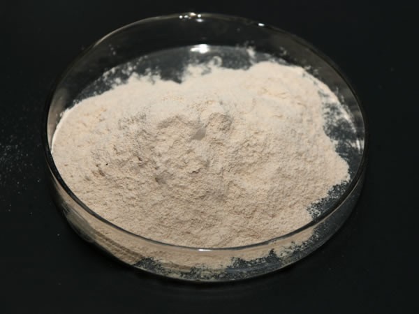 肉類蛋白水解酶（豬牛雞肉水解，肉膏咸味香精生產(chǎn)）