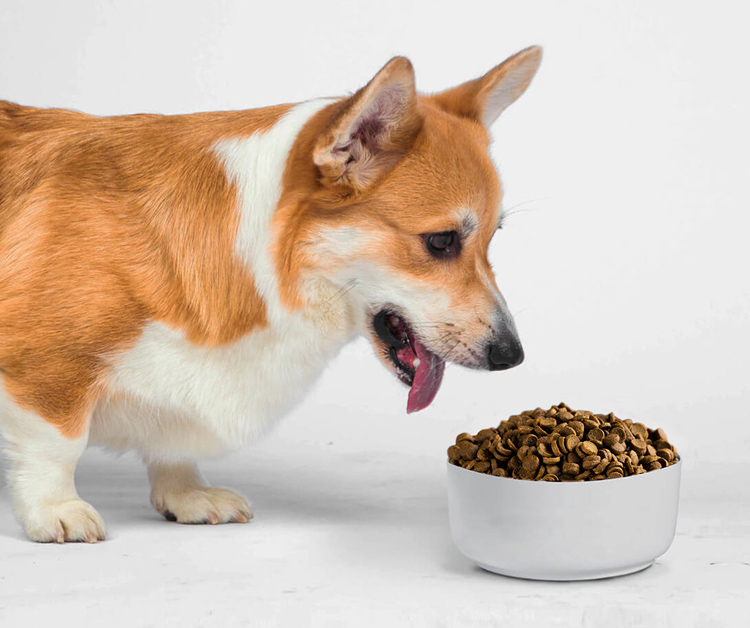 6cf59edead96d62bd001200f41aa93ef