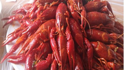 做酶好事業，享酶好生活，品酶力美食