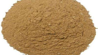 酶解金槍魚粉制取金槍魚蛋白多肽最佳選擇是什么？