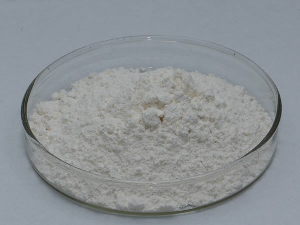 谷氨酰胺轉氨酶 千葉豆腐仿生素食專用 Transglutaminase