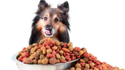 水解雞肝粉生產肝臟風味誘食劑方法有哪些？