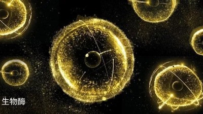 關于生物酶反應過程的故事