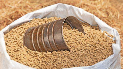 木瓜蛋白酶在飼料生產中的作用