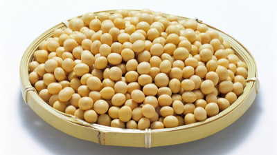 豆漿粉改性的方法有哪些？