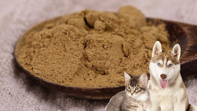 如何酶解雞肝粉生產熱反應型寵物誘食劑？