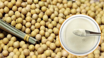 酶解法制備大豆蛋白肽具有什么優(yōu)勢？