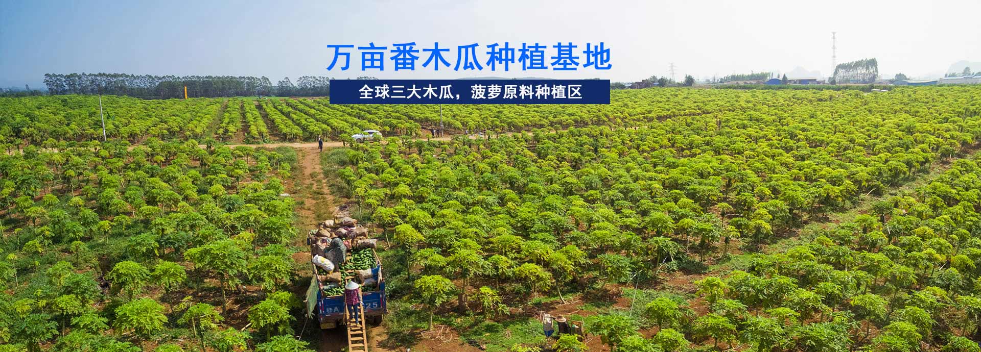 東恒華道-工業(yè)園占地5畝，生產(chǎn)車(chē)間10000㎡