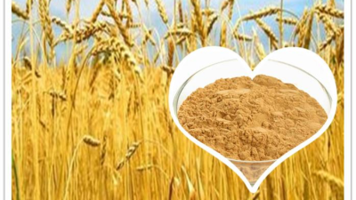 酶法制備小麥肽或將成為行業新寵