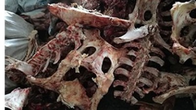 牛骨、豬骨蛋白胨生產(chǎn)，適合的酶制劑有哪些呢？